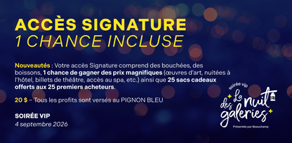 La Nuit des Galeries - Soirée VIP