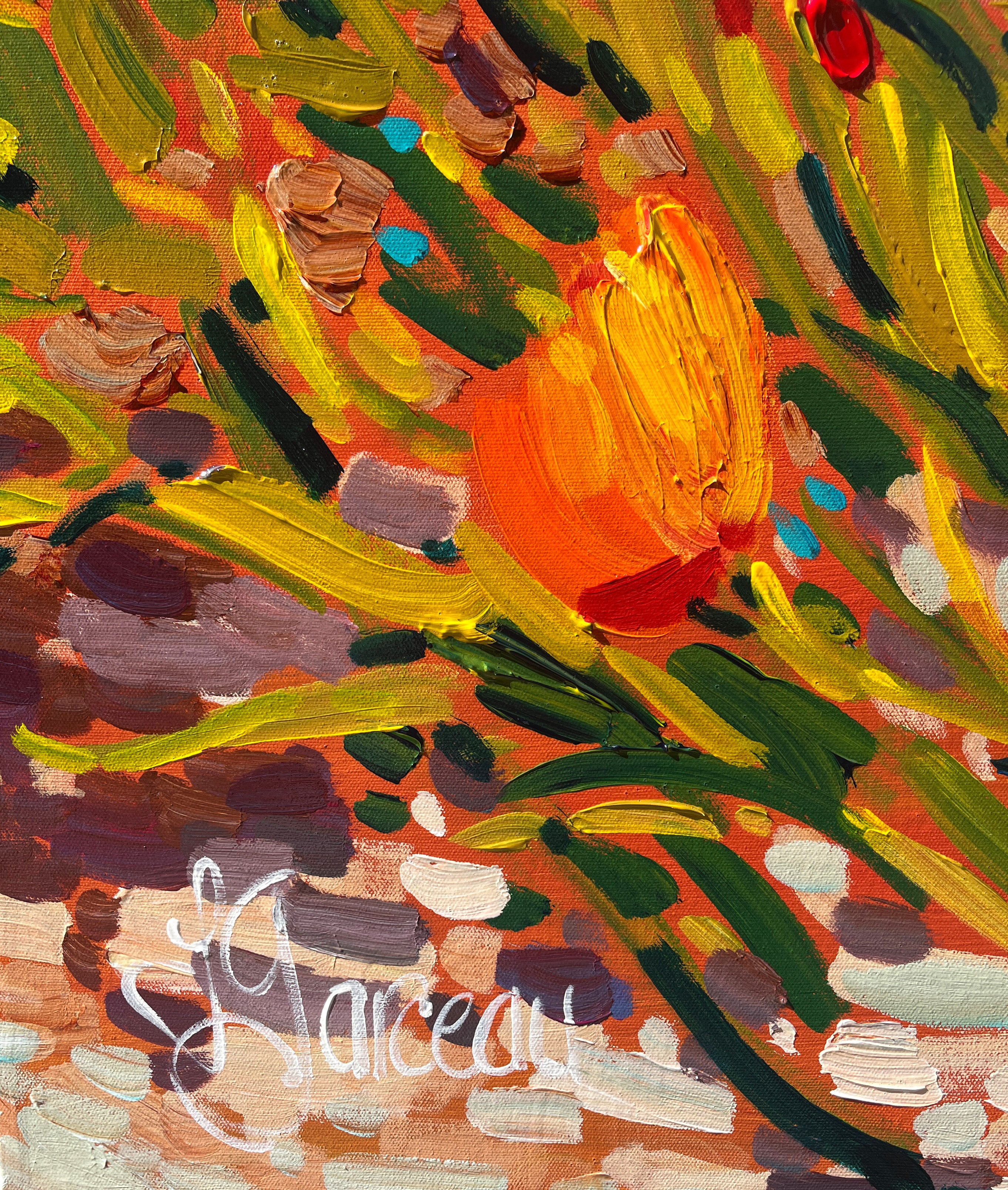 Sous le soleil du 66e Nord