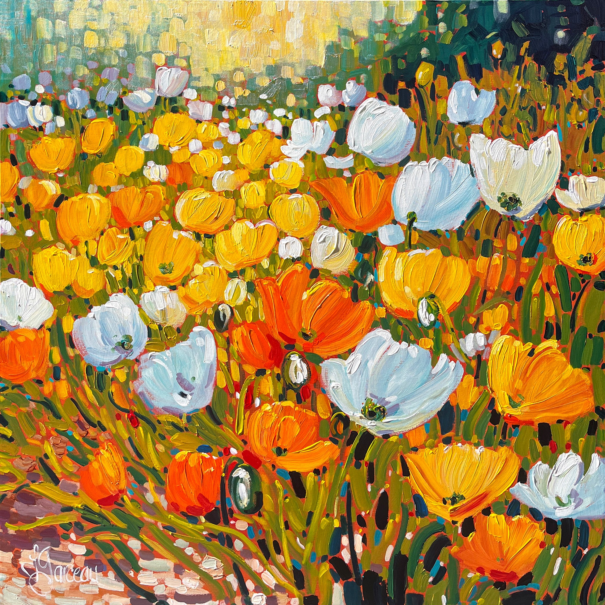 Sous le soleil du 66e Nord