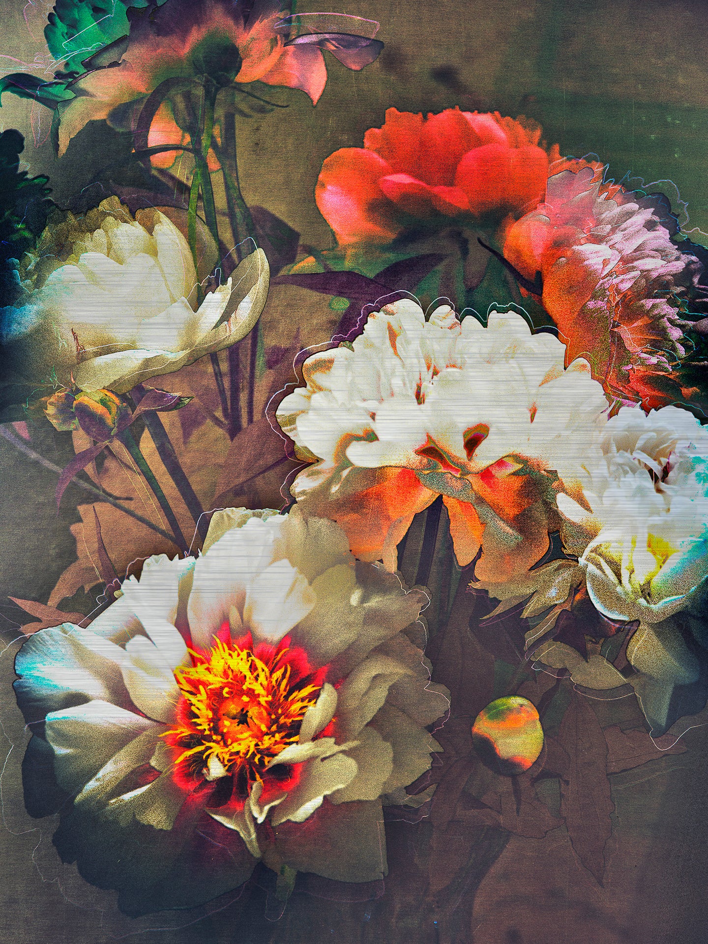 Les pivoines, 28 juin 17h35