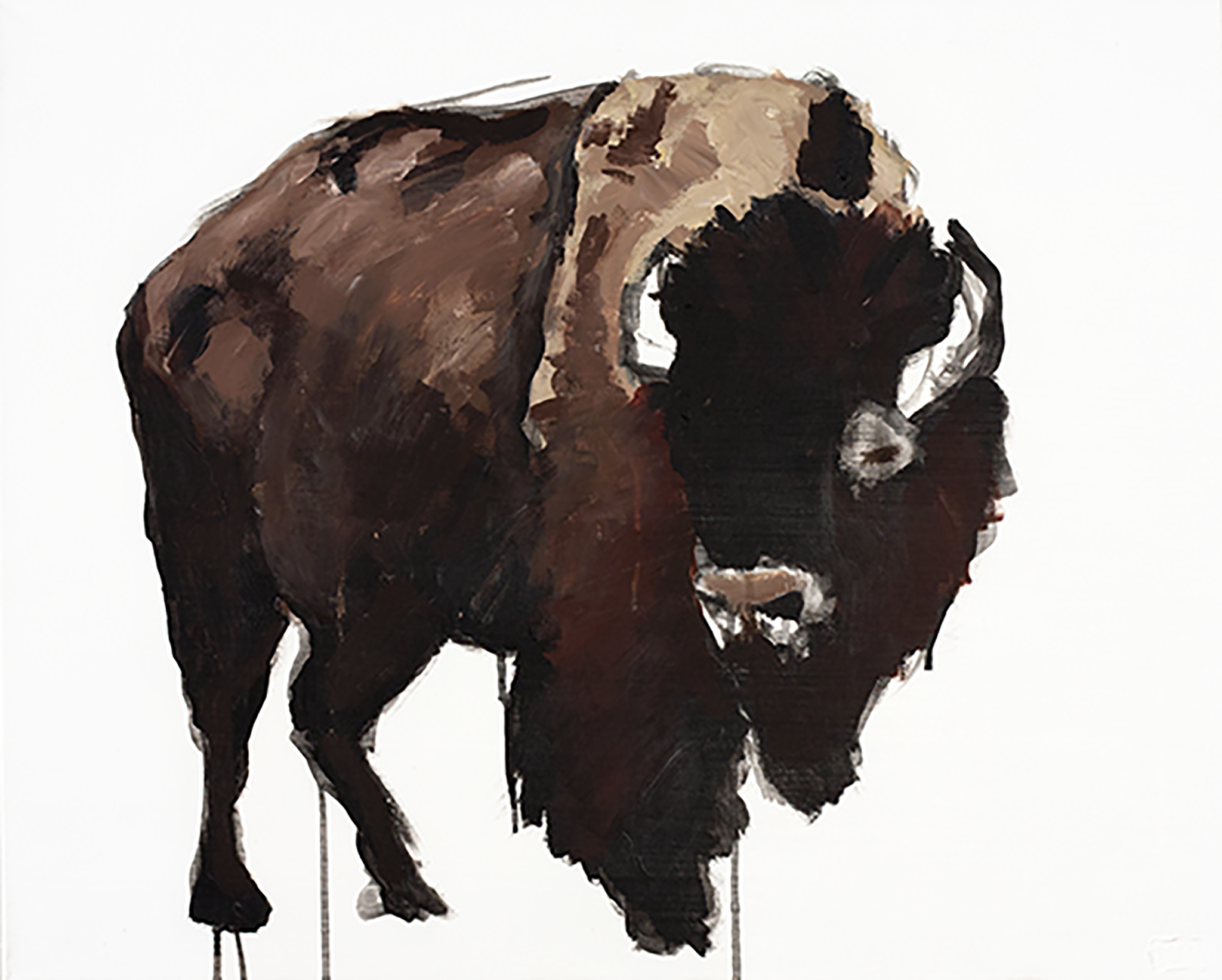 Bison IV