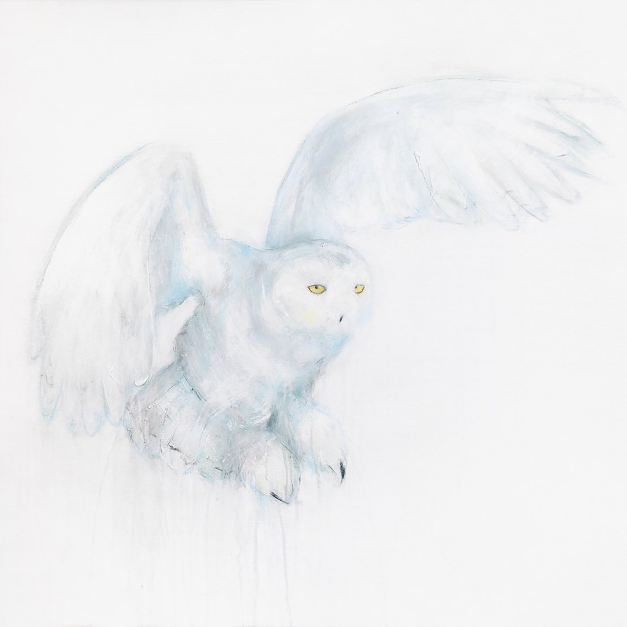 Snowy Owl VI 