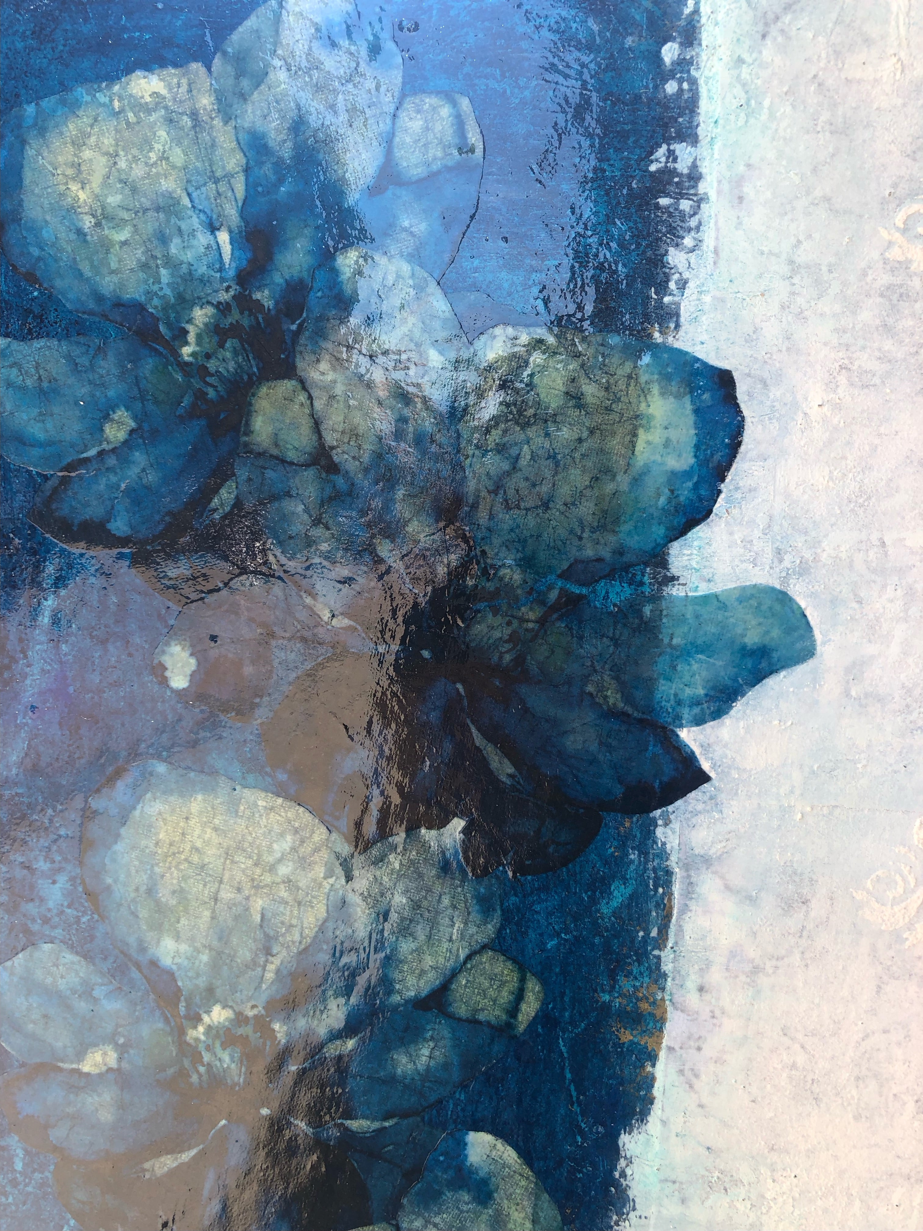 Hanakotoba : Dreamy Magnolias