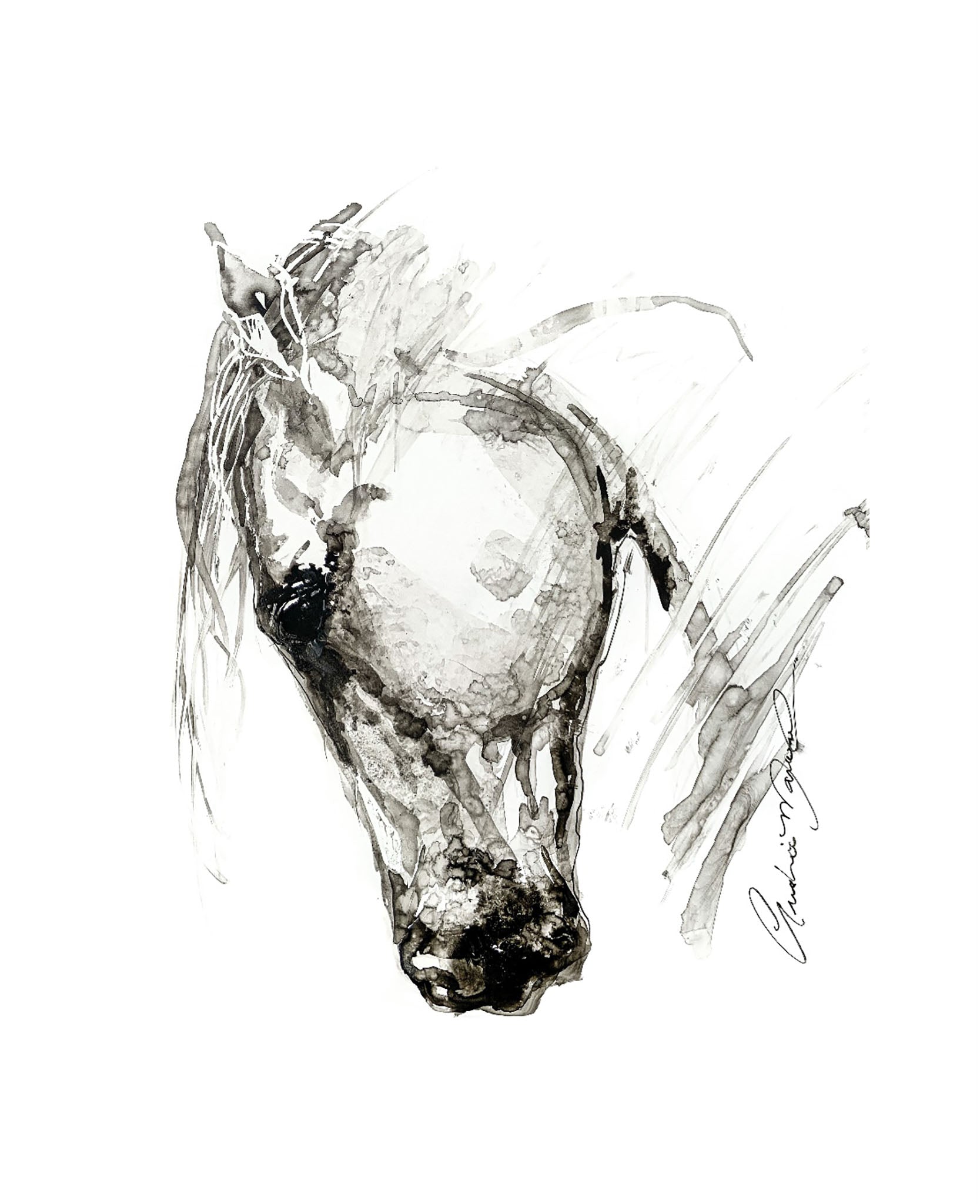 Le monarque (12/100)