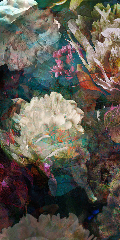 Les pivoines, 2 novembre 6h44