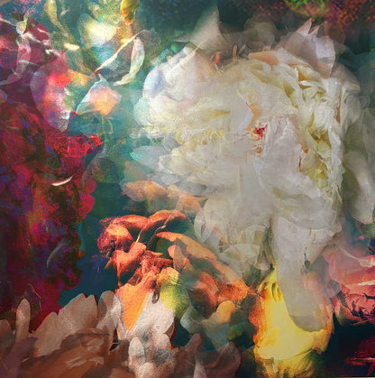 Les pivoines, 25 octobre 8h08