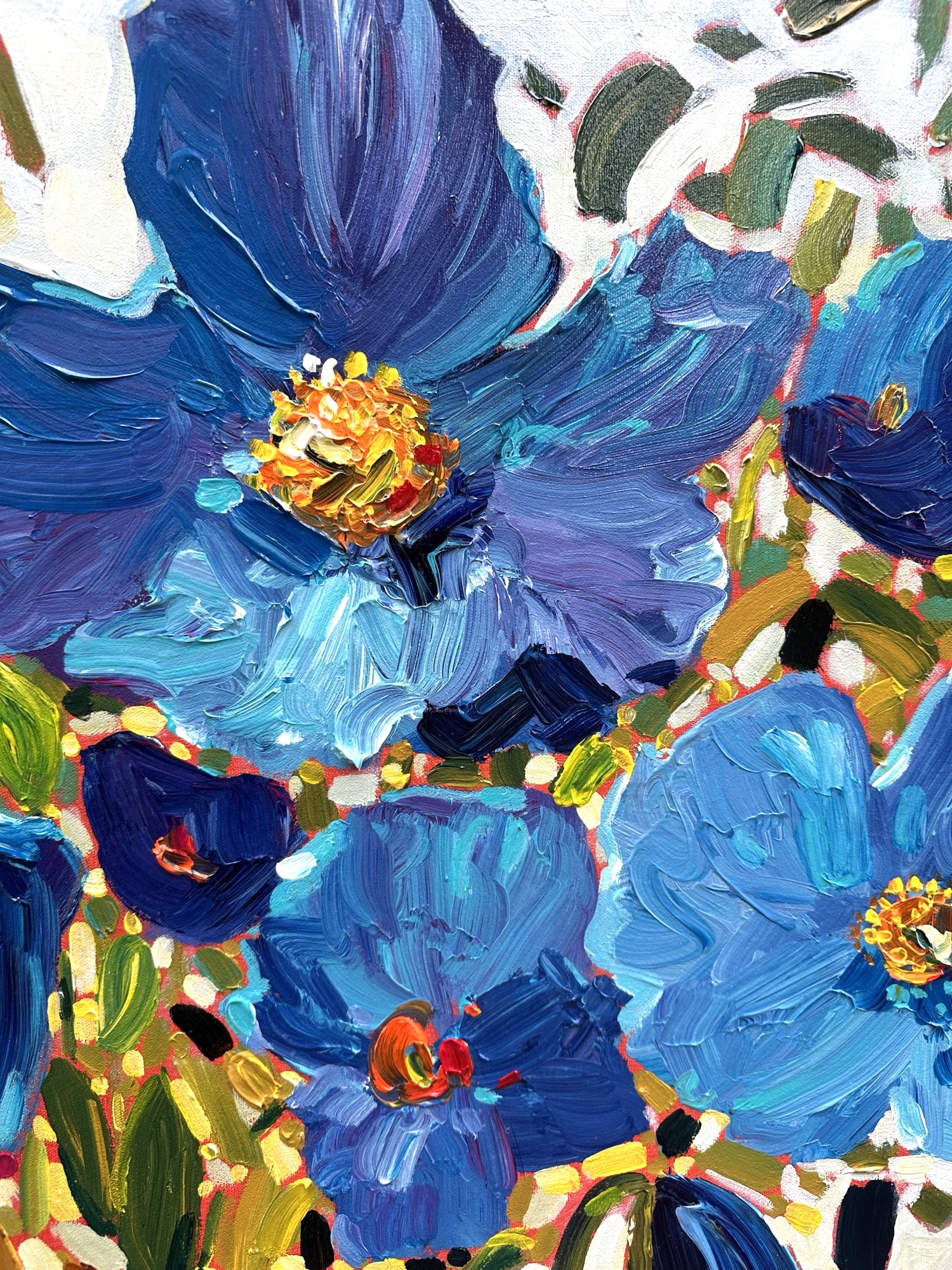 La magie des pavots bleus