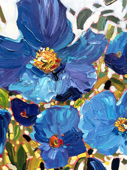 La magie des pavots bleus