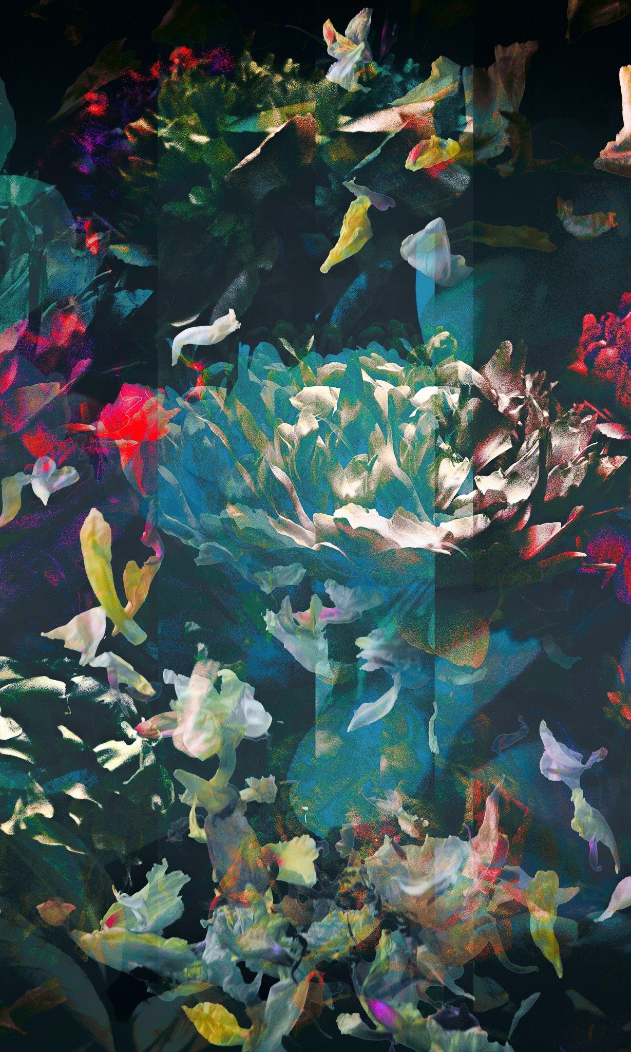 Les pivoines, 6 juillet 14h37