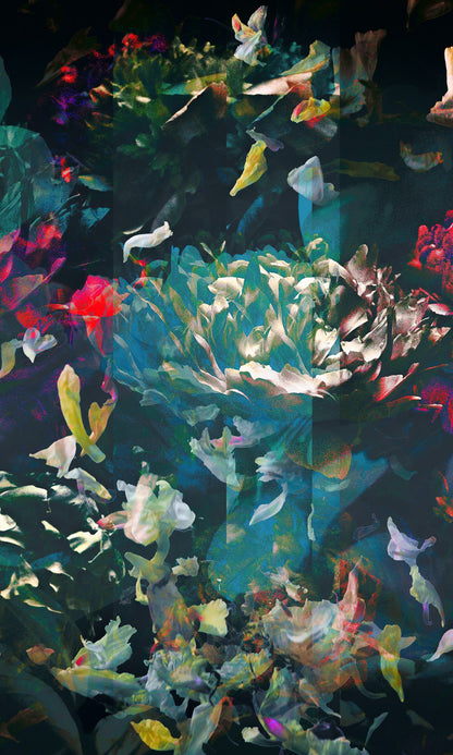 Les pivoines, 6 juillet 14h37