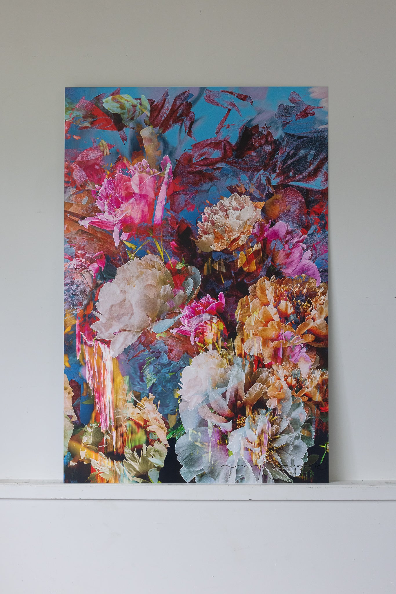 Les pivoines, 7 juin 8h08
