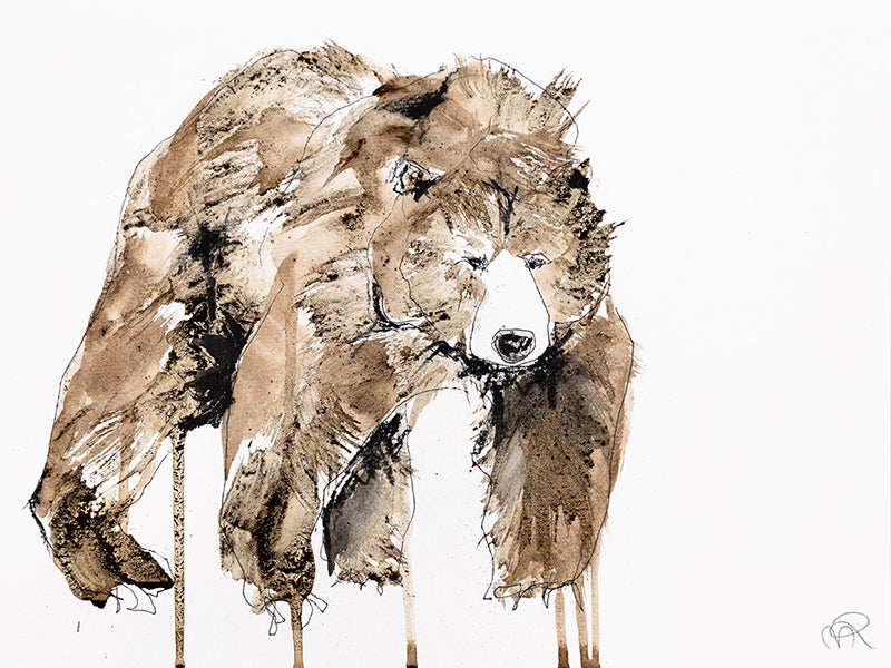 Grizzly Bear Étude VII