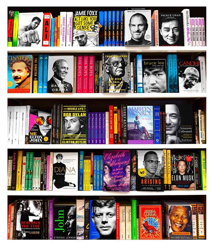 Biography Bookscape (Série/Series) - Galerie d'Art Beauchamp