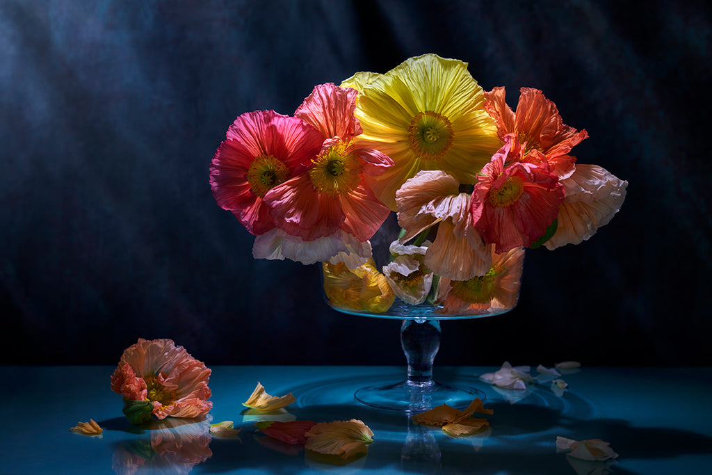 Grand Bouquet 02 (Série/Series) - Galerie d'Art Beauchamp