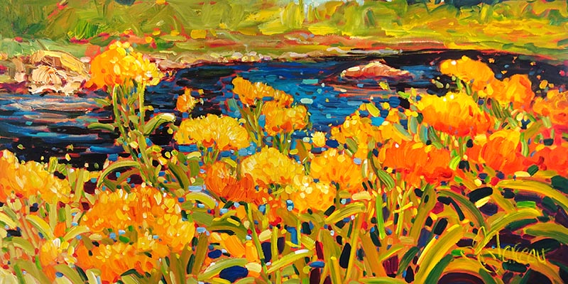 Lumières des étangs - Galerie d'Art Beauchamp