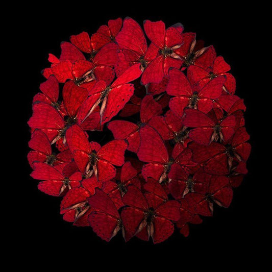 Red Bowl (Série/Series) - Galerie d'Art Beauchamp